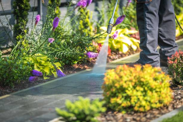 Best Spring Cleaning  in Westmont, NJ